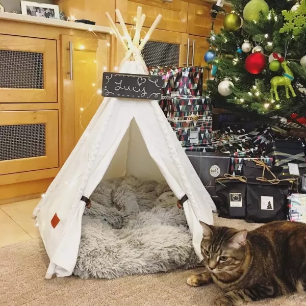 imagelittle dove Pet Teepee Dog amp Puppy Cat Bed Portable amp Washable Pet Tents House for Pets Beige Color 24 Inch no Cushion24 Inch no Cushion