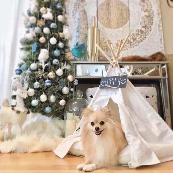 imagelittle dove Pet Teepee Dog amp Puppy Cat Bed Portable amp Washable Pet Tents House for Pets Beige Color 24 Inch no Cushion24 Inch no Cushion