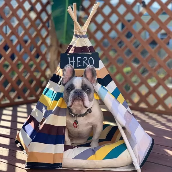 imagelittle dove Pet Teepee House Fold Away Pet Tent Furniture Cat Bed with Cushion 28 Inch Beige Pompom24 Inch Colorful no cushion