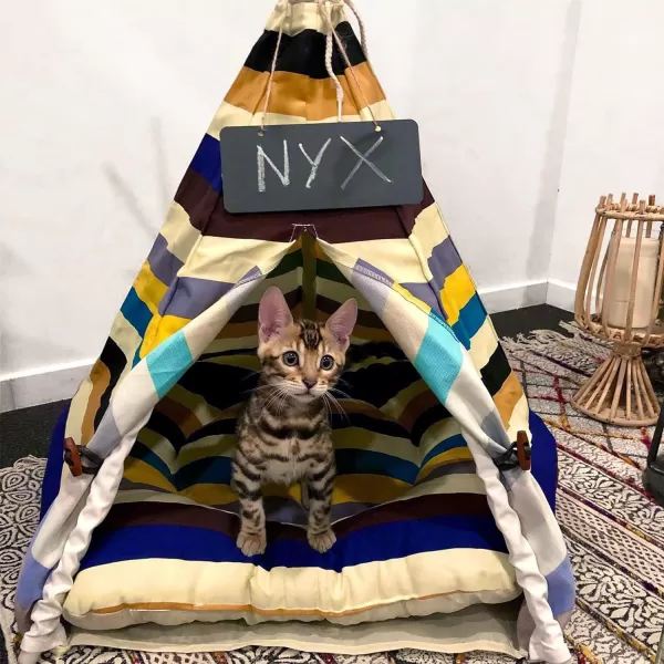 imagelittle dove Pet Teepee House Fold Away Pet Tent Furniture Cat Bed with Cushion 28 Inch Beige Pompom24 Inch Colorful no cushion