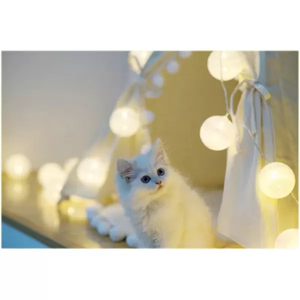 imagelittle dove Pet Teepee House Fold Away Pet Tent Furniture Cat Bed with Cushion 28 Inch Beige PompomBeige with Pad