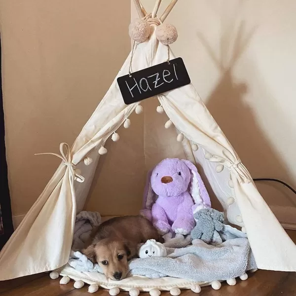imagelittle dove Pet Teepee House Fold Away Pet Tent Furniture Cat Bed with Cushion 28 Inch Beige PompomBeige with Pad