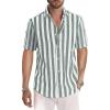 Grey Green Stripe
