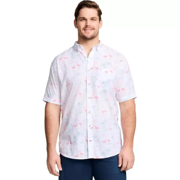IZOD Men's Big and Tall Saltwater Dockside Short Sleeve Button Down Shirt
