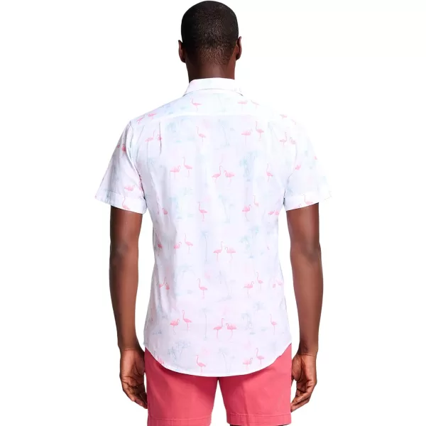 IZOD Men's Saltwater Dockside Short Sleeve Button Down Shirt