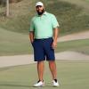 imageIZOD Mens Big and Tall Swingflex Elite Short Sleeve Golf PoloCanopy Green