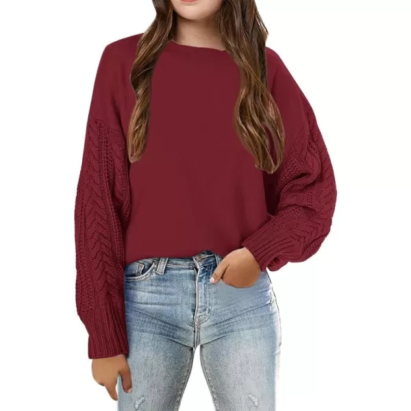 Haloumoning Girl's Crew Neck Sweaters Kids Long Sleeve Drop Shoulder Pullover Cable Knit Chunky Contrast Sweater Tops