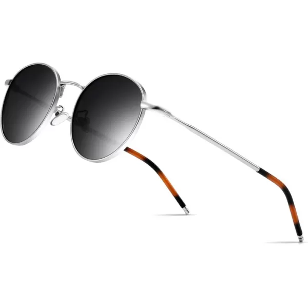 Silver Frame/Polarized Gray Lens