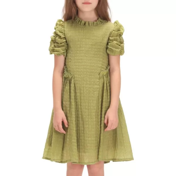 WELAKEN Girls Ruffle Dress Puff Sleeves Summer Casual Sundress with Lining for Toddler ampamp Kids ampamp Little GirlGreen bubble