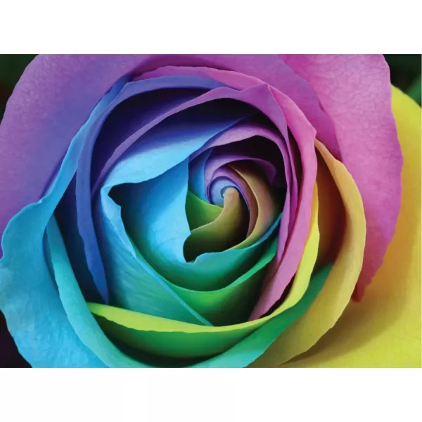 Brights Puzzles Rose by GoliathMulti Color