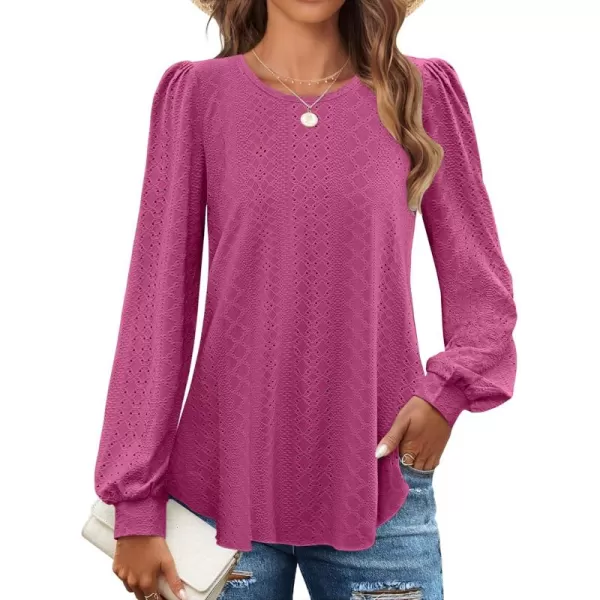 ZESICA Long Sleeve Eyelet Tops for Womens Crew Neck Fall Shirts Casual Loose Blouses 2024 Trendy ClothesRosered