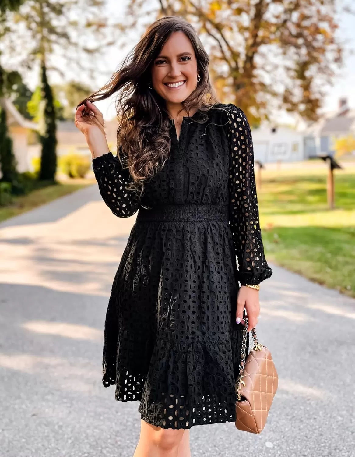imageZESICA Womens 2024 Long Sleeve Mini Dress Fall V Neck Hollow Out Eyelet Embroidery Ruffle A Line Swing Short DressesBlack