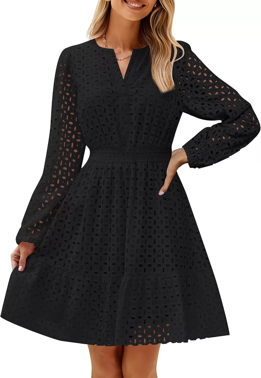 imageZESICA Womens 2024 Long Sleeve Mini Dress Fall V Neck Hollow Out Eyelet Embroidery Ruffle A Line Swing Short DressesBlack