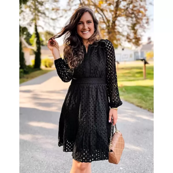 imageZESICA Womens 2024 Long Sleeve Mini Dress Fall V Neck Hollow Out Eyelet Embroidery Ruffle A Line Swing Short DressesBlack