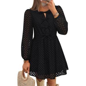 imageZESICA Womens Long Sleeve Mini Dress 2025 Fall Crewneck Tie Front Hollow Out Eyelet Babydoll A Line Short DressesBlack