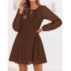 imageZESICA Womens Long Sleeve Mini Dress 2025 Fall Crewneck Tie Front Hollow Out Eyelet Babydoll A Line Short DressesBrown