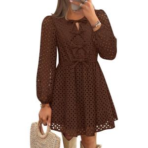 imageZESICA Womens Long Sleeve Mini Dress 2025 Fall Crewneck Tie Front Hollow Out Eyelet Babydoll A Line Short DressesBrown