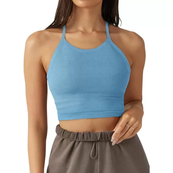 LASLULU Sports Bra for Women Crop Tops Racer Back Tank Tops Longline Workout Yoga Bra Halter Neck Cropped Casual TopsSky Blueseamless