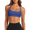 image:imageLASLULU Halter Sports Bras for Women Scoop Neck Workout Tops Padded Sleeveless Open Back Yoga Crop Gym Tank TopsKlein Blue