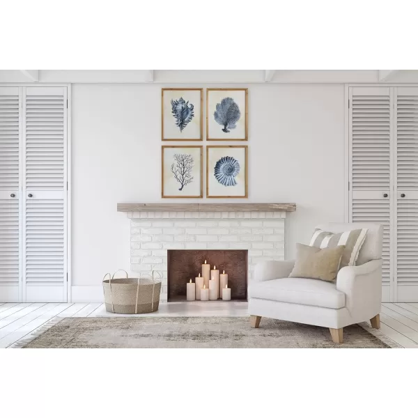Wood Framed Wall Art with Blue Shells ampamp Coral Set of 4 Designs