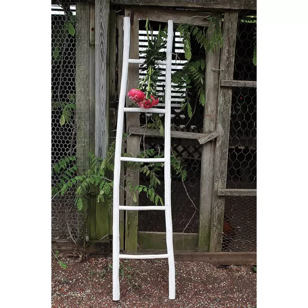 Creative CoOp Decorative Wood Ladder Misc Furniture GreyWhite