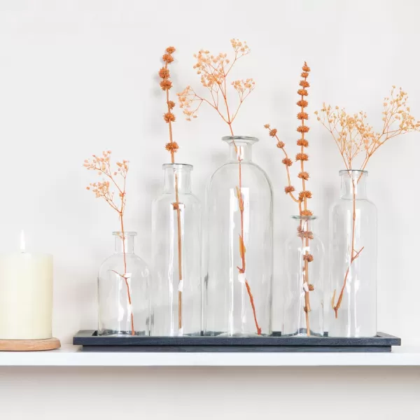 Creative CoOp Set of 5 Vintage Bottle Vases on Wood TrayBlack Tray