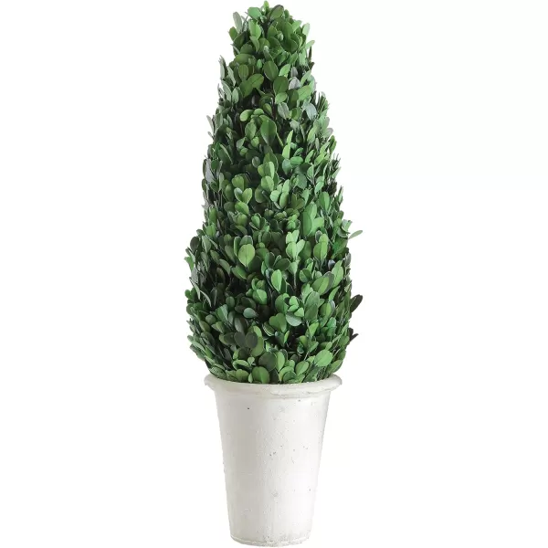 Creative CoOp Boxwood Topiary in Clay PotLarge