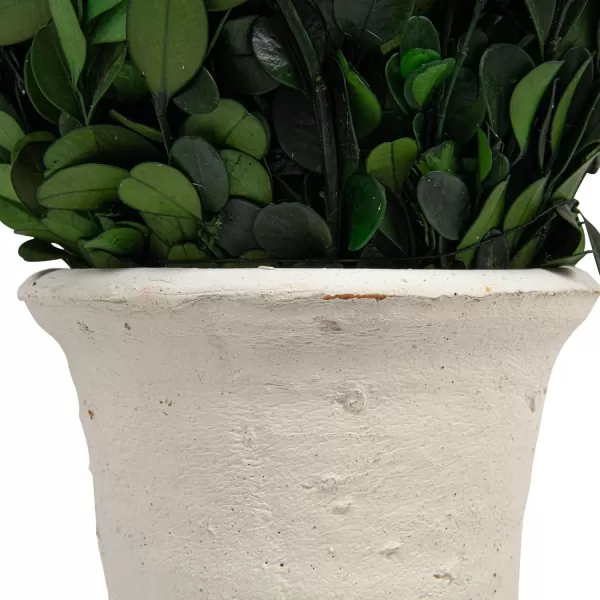 Creative CoOp Boxwood Topiary in Clay PotLarge