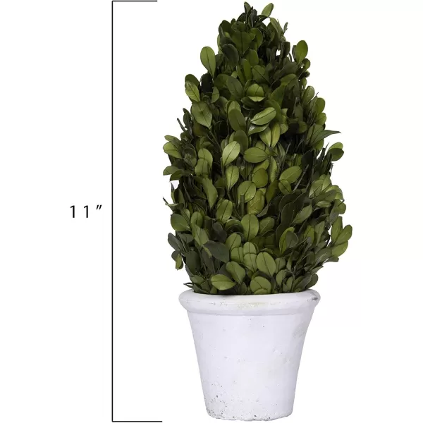Creative CoOp Boxwood Topiary in Clay PotMedium