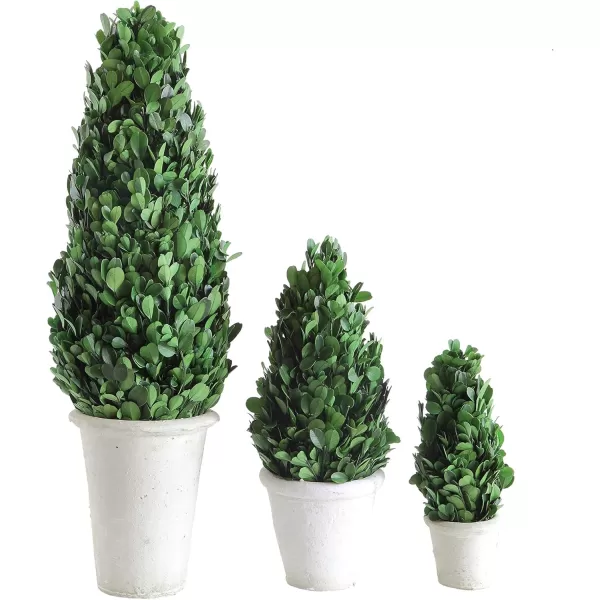 Creative CoOp Boxwood Topiary in Clay PotMedium