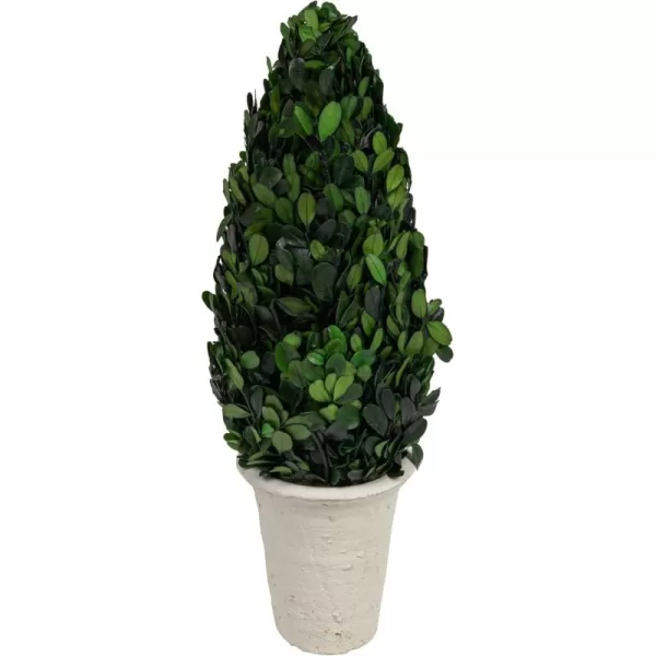 Creative CoOp Boxwood Topiary in Clay PotLarge