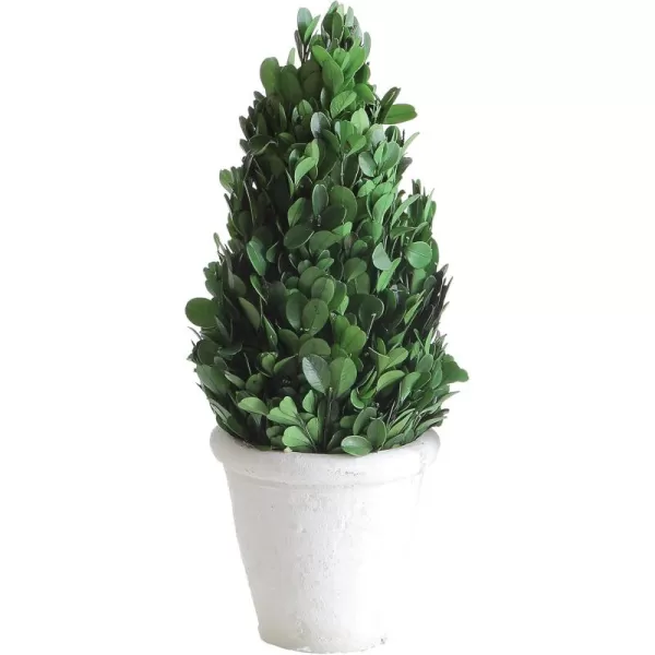 Creative CoOp Boxwood Topiary in Clay PotMedium