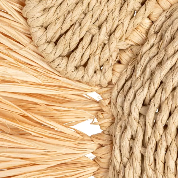 Creative CoOp Savannah King Raffia Lion Wall Art Natural