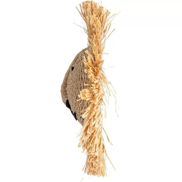 Creative CoOp Savannah King Raffia Lion Wall Art Natural