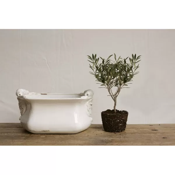White Terracotta Cache PotWhite