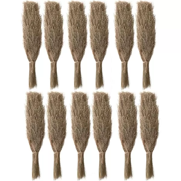 Creative CoOp Dried Natural Star Grass Bunch Artificial Plants
