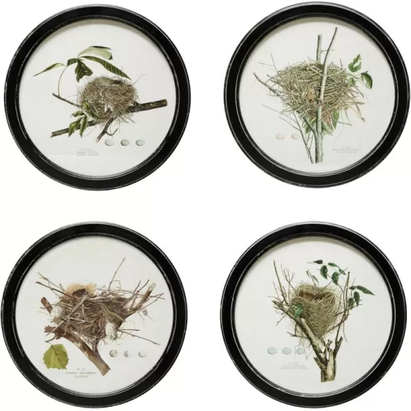 Creative CoOp Framed Wall Decor with Vintage Reproduction Nest Print Multicolor Set of 4