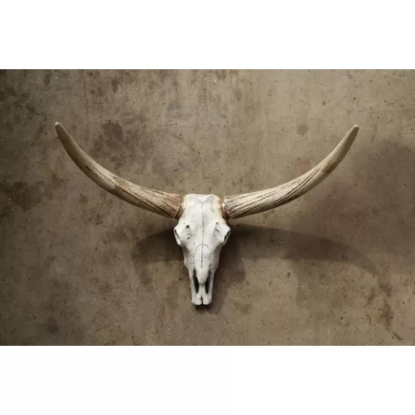 Creative CoOp Resin Steer Skull Wall Dcor