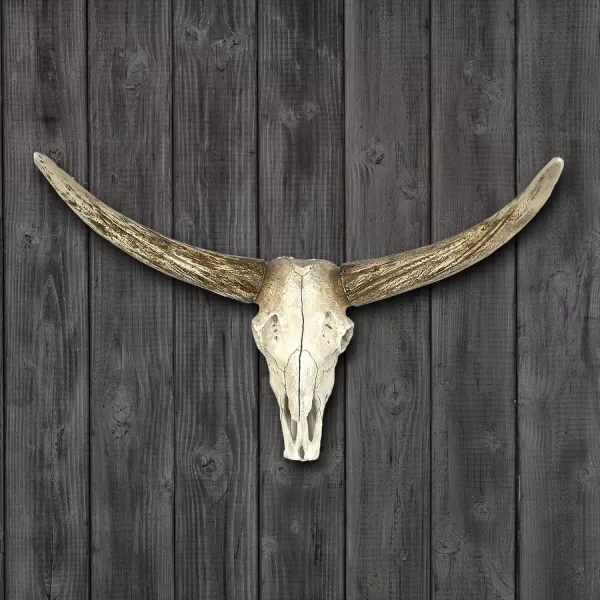Creative CoOp Resin Steer Skull Wall Dcor