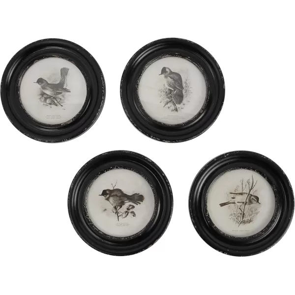 Creative CoOp Round Wood Framed Bird Prints Black and Ivory Set of 4