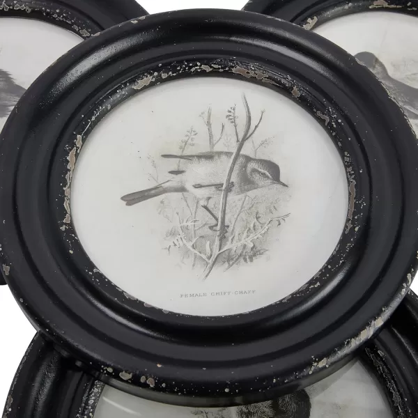 Creative CoOp Round Wood Framed Bird Prints Black and Ivory Set of 4