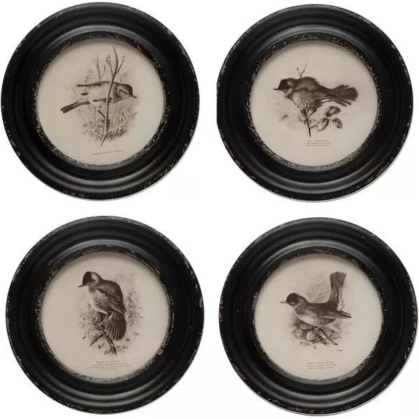 Creative CoOp Round Wood Framed Bird Prints Black and Ivory Set of 4