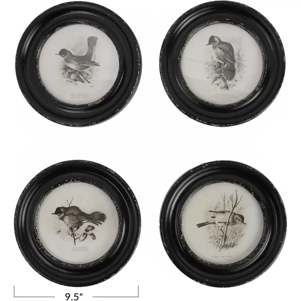 Creative CoOp Round Wood Framed Bird Prints Black and Ivory Set of 4