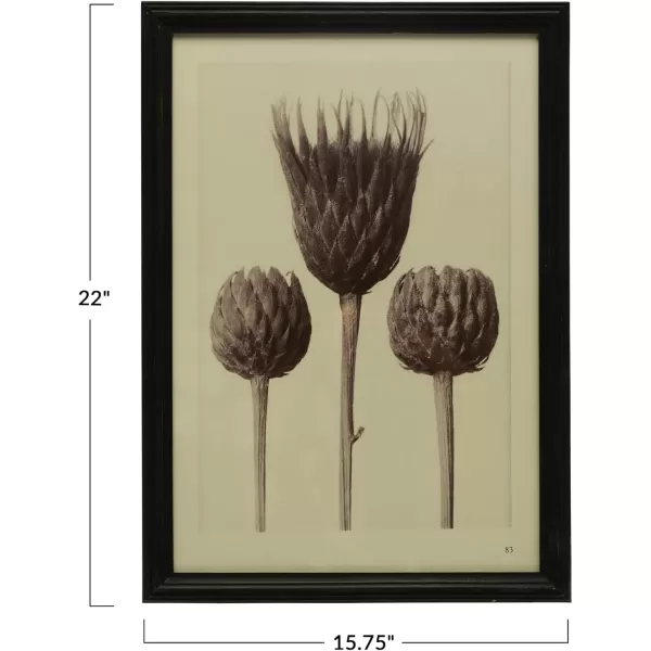 Creative CoOp Wood Artichoke Glass Cover Multicolor Framed Prints Black