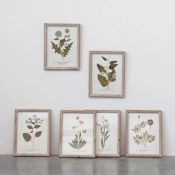 Creative CoOp Wood Framed Portraits of Botanical Prints Multicolor Set of 6