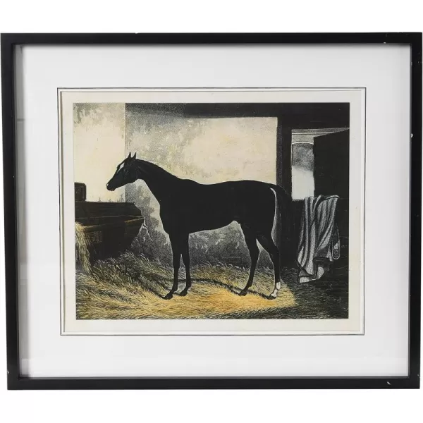 Creative CoOp Horse Print with Wood FrameBlack with Markings