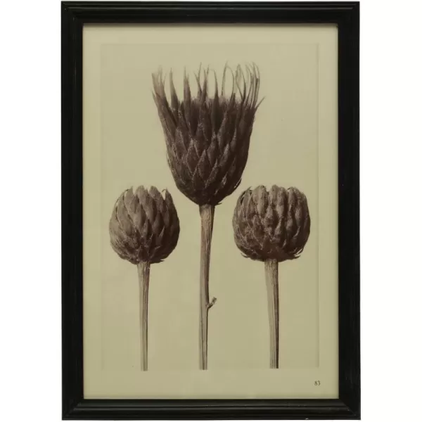 Creative CoOp Wood Artichoke Glass Cover Multicolor Framed Prints Black