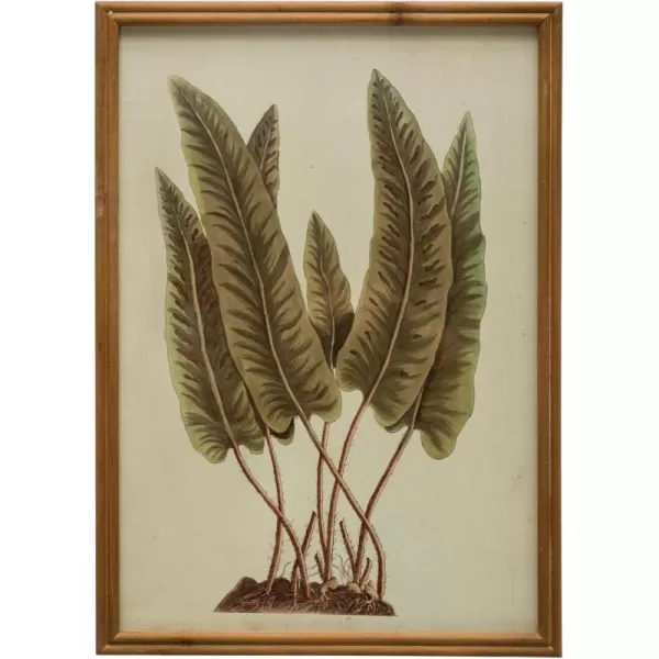 Creative CoOp Wood Botanical Glass Cover Multicolor Framed Prints Green