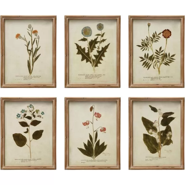 Creative CoOp Wood Framed Portraits of Botanical Prints Multicolor Set of 6