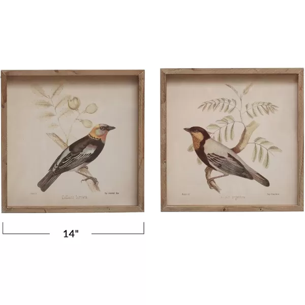 Creative CoOp 14 Inches Square Wood Framed Glass Bird Designs Multicolor Set of 2 Wall Dcor